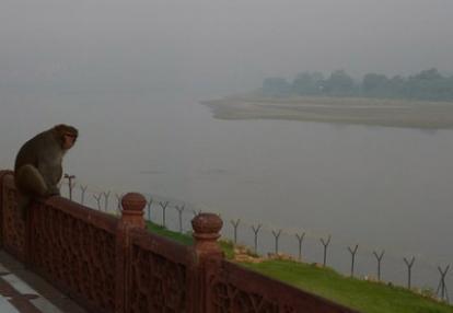 Voyage en Inde de Dominique