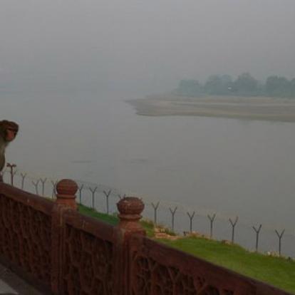 Voyage en Inde de Dominique