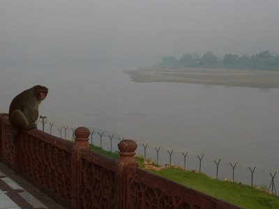 Voyage en Inde de Dominique