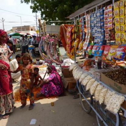 Voyage en Inde de Dominique