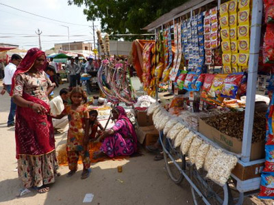 Voyage en Inde de Dominique