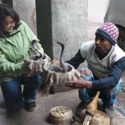 Voyage en Inde - Témoignage Famille Yves et Sangeeta