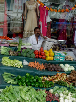 Voyage en Inde  d'Anne et Patrick