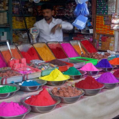 Voyage en Inde  d'Anne et Patrick