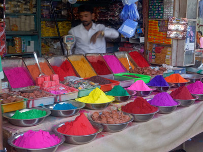 Voyage en Inde  d'Anne et Patrick