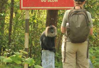 Voyage en Inde de Marc