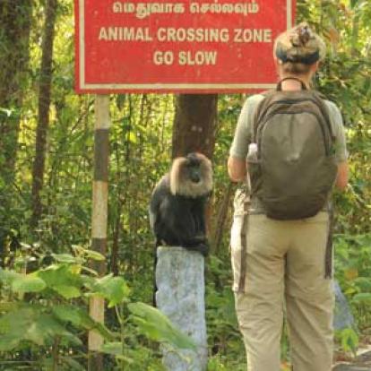 Voyage en Inde de Marc