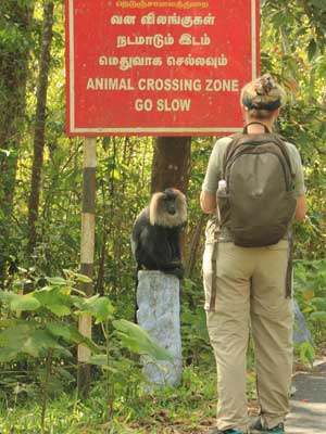 Voyage en Inde de Marc