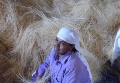 Voyage en Inde des Familles Geneviève A. et Alain B. 
