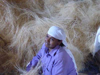 Voyage en Inde des Familles Geneviève A. et Alain B. 