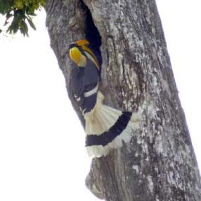 Voyage en Inde des Familles Geneviève A. et Alain B. 