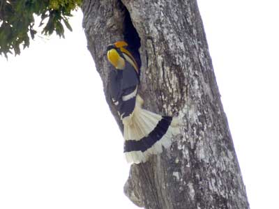 Voyage en Inde des Familles Geneviève A. et Alain B. 