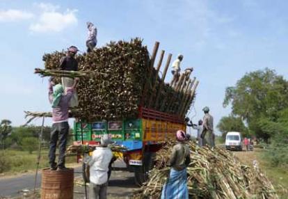 Voyage en Inde des Familles Geneviève A. et Alain B. 