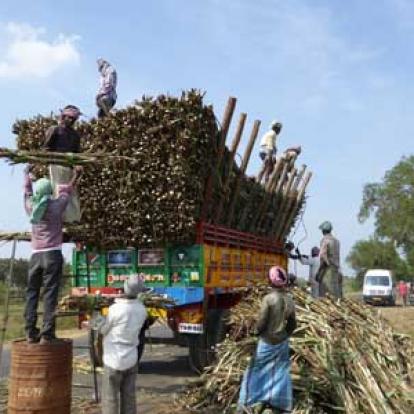 Voyage en Inde des Familles Geneviève A. et Alain B. 