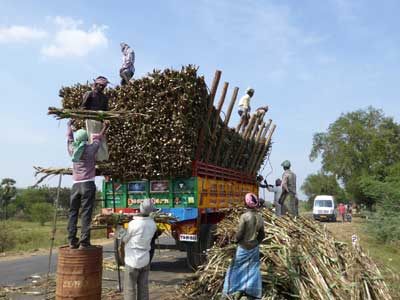 Voyage en Inde des Familles Geneviève A. et Alain B. 