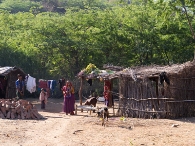 ©Fabien D. - Tous Droits réservés Voyage en Inde de Fabien