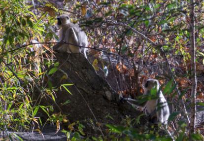 Voyage en Inde de Fabien