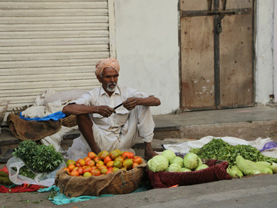 ©Dominique R. - Tous Droits réservés Voyage en Inde  de Dominique