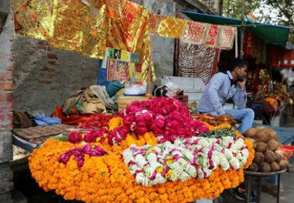 ©Dominique R. - Tous Droits réservés Voyage en Inde de Dominique