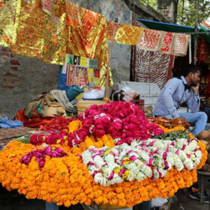 ©Dominique R. - Tous Droits Réservés Voyage en Inde  de Dominique