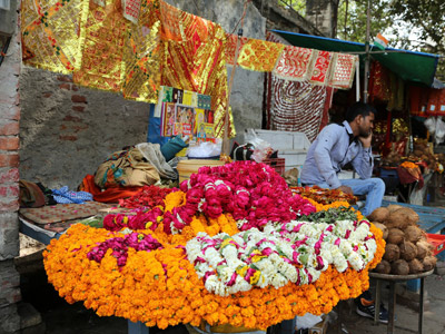 ©Dominique R. - Tous Droits réservés Voyage en Inde  de Dominique