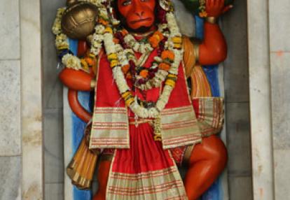 Voyage en Inde  de Dominique