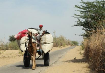 Voyage en Inde  de Dominique