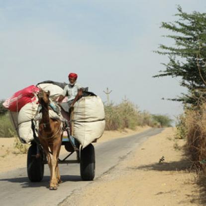 ©Dominique R. - Tous Droits Réservés Voyage en Inde  de Dominique