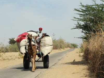 ©Dominique R. - Tous Droits réservés Voyage en Inde  de Dominique