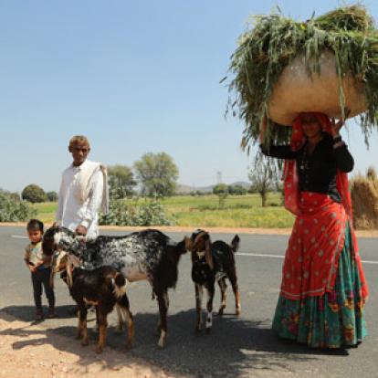 ©Dominique R. - Tous Droits Réservés Voyage en Inde  de Dominique