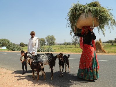 ©Dominique R. - Tous Droits réservés Voyage en Inde  de Dominique