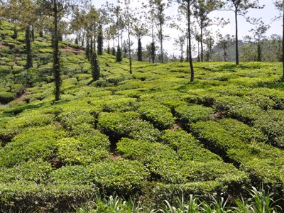 Voyage en Inde de Christian et Davanh