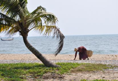 Pêcheur à Marari Beach contrôlant les sardines mises à griller au soleil Voyage en Inde de Christian et Davanh