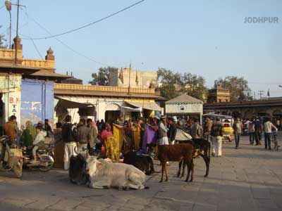 Jodhpur