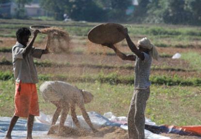 Elevage de canards dans les Backwaters  Voyage en Inde de Michel et Jocelyne V.