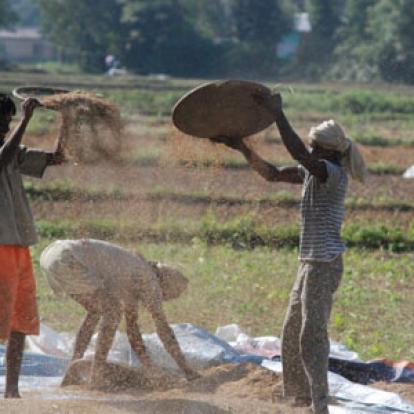 Voyage en Inde de Michel et Jocelyne V.