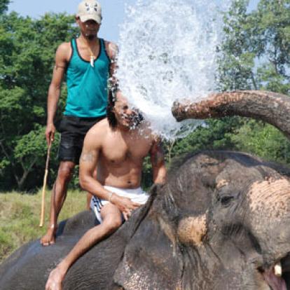 Voyage en Inde de Michel et Jocelyne V.