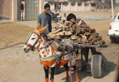 Voyage en Inde d'Eric P. 