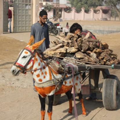 Voyage en Inde d'Eric P. 