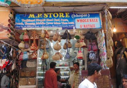 Voyage en Inde - Témoigange de Martine V.D.