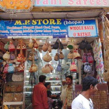 Voyage en Inde - Témoigange de Martine V.D.