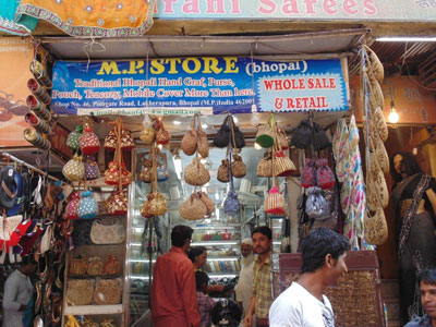 Voyage en Inde - Témoigange de Martine V.D.