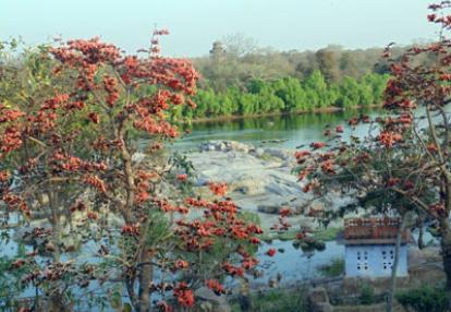 ©Martine V.D.D. Voyage en Inde - Témoigange de Martine V.D.