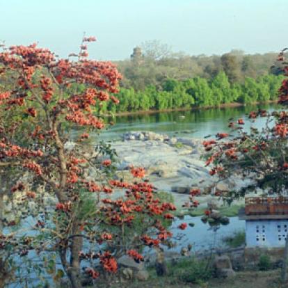 Voyage en Inde - Témoigange de Martine V.D.