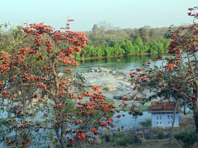Voyage en Inde - Témoigange de Martine V.D.