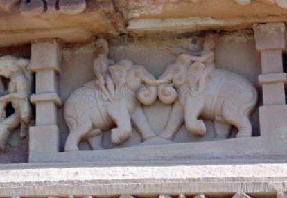 Voyage en Inde - Témoigange de Martine V.D.