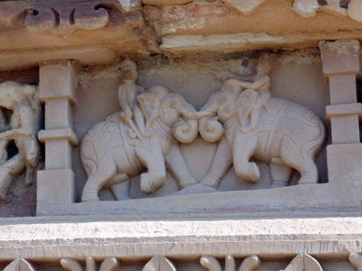 Voyage en Inde - Témoigange de Martine V.D.