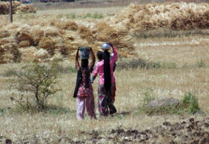 Voyage en Inde - Témoigange de Martine V.D.