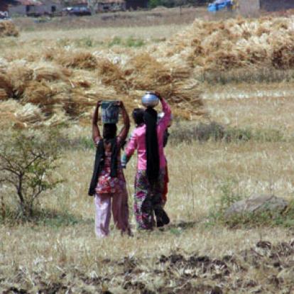Voyage en Inde - Témoigange de Martine V.D.