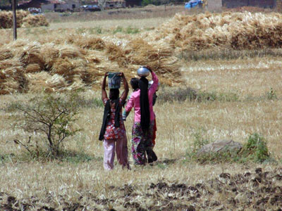 Voyage en Inde - Témoigange de Martine V.D.